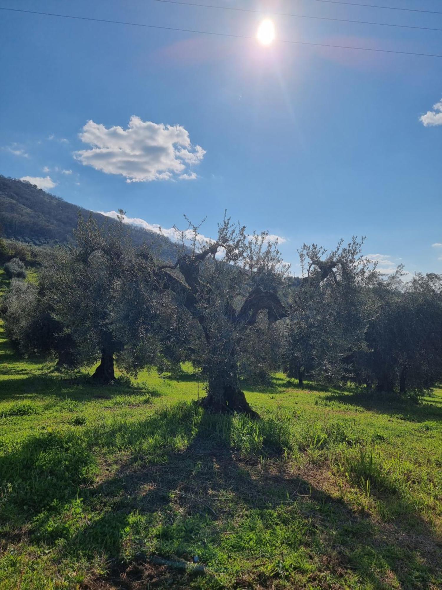 Casale Dei Priori Rocca Massima Exterior foto