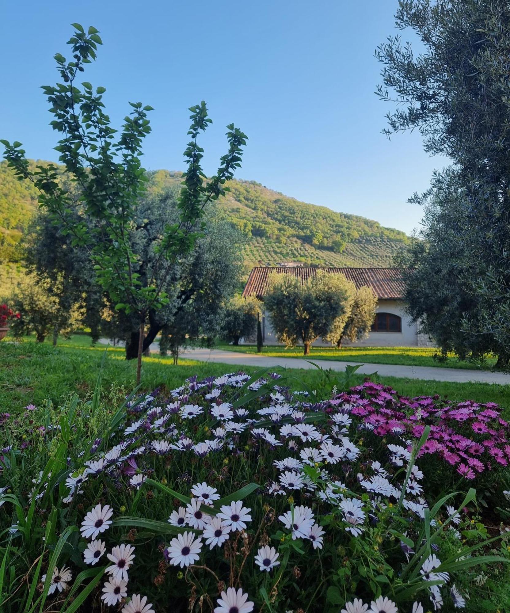 Casale Dei Priori Rocca Massima Exterior foto
